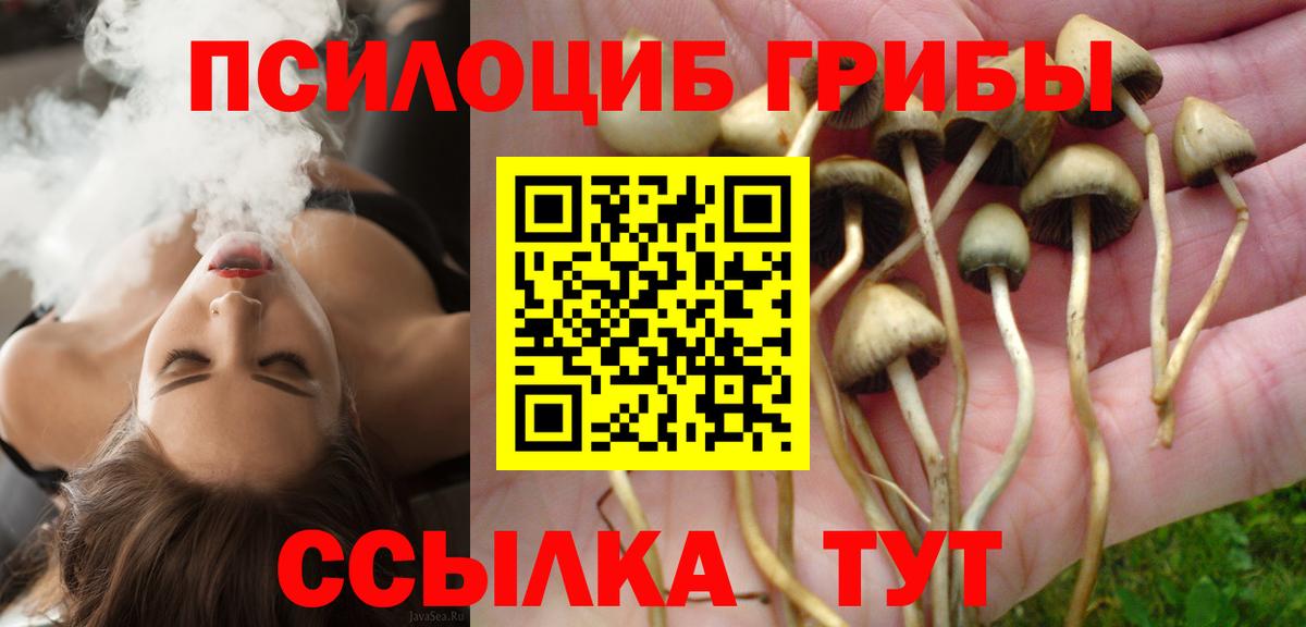 Нефтеюганск  Псилоцибиновые грибы Psilocybine cubensis  Вход с VPN 